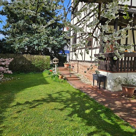 Apartments Am Saalebogen Mit Gartenterrasse, Grillkamin, Freie Parkplaetze Rudolstadt Exteriör bild