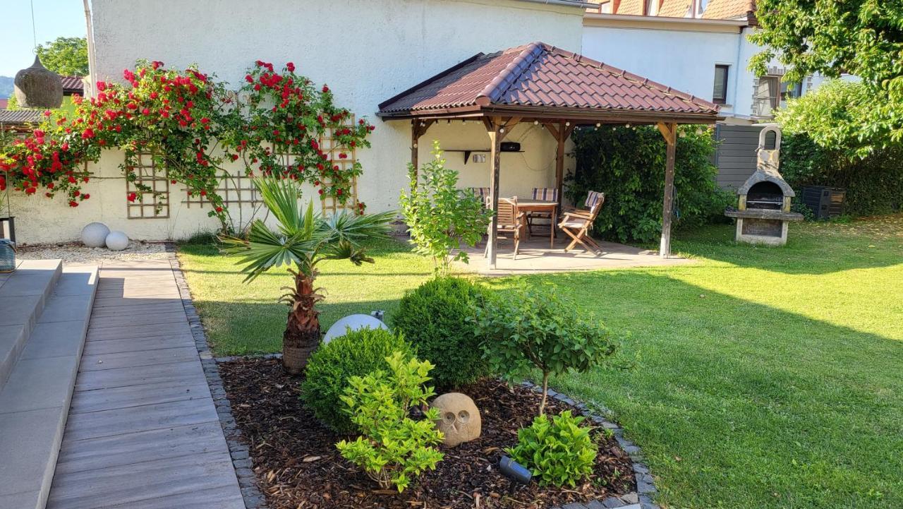 Apartments Am Saalebogen Mit Gartenterrasse, Grillkamin, Freie Parkplaetze Rudolstadt Exteriör bild