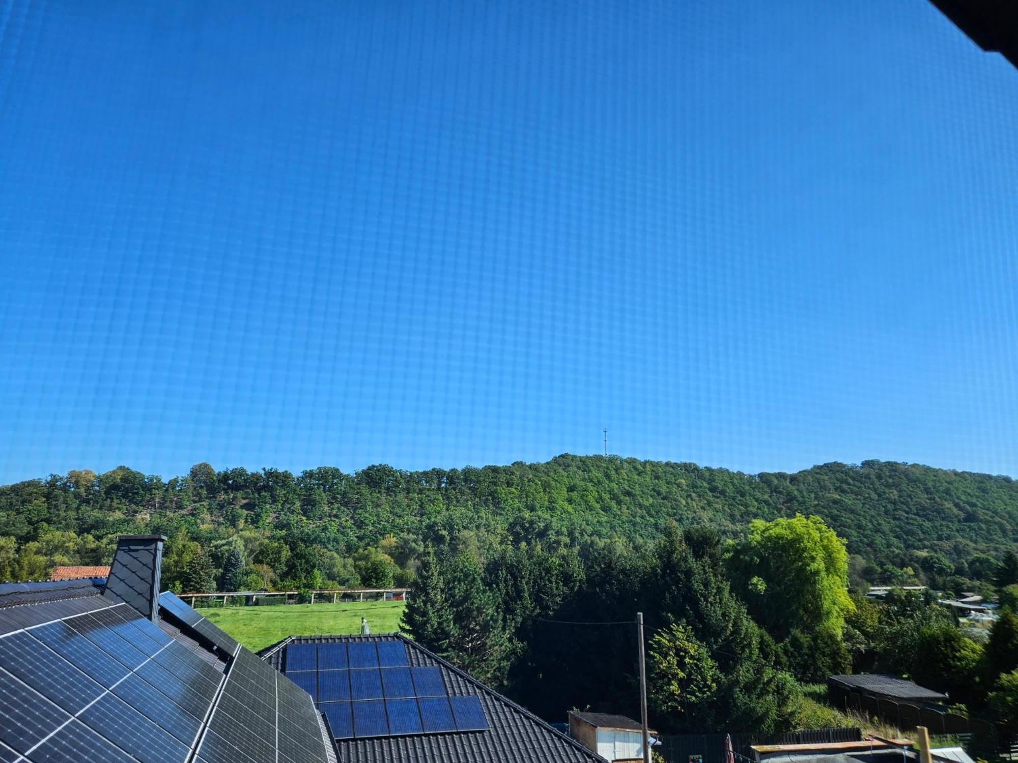 Apartments Am Saalebogen Mit Gartenterrasse, Grillkamin, Freie Parkplaetze Rudolstadt Exteriör bild