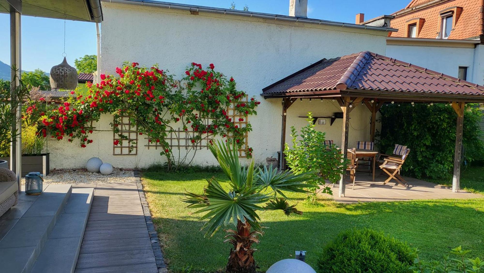 Apartments Am Saalebogen Mit Gartenterrasse, Grillkamin, Freie Parkplaetze Rudolstadt Exteriör bild